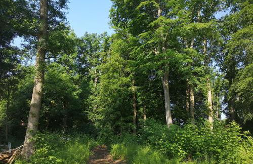 Gästehaus Maria Rast - Foto 64