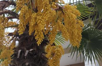 Voula home -IOANNINA-NEOKESARIA - Foto 8