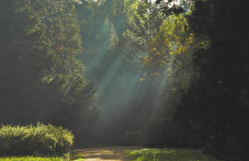 Agroturystyka Na Końcu Świata - Foto 29