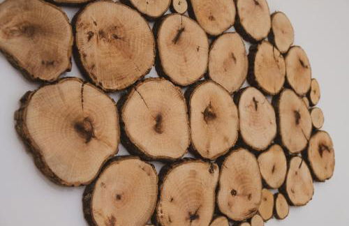 Casa de Pimenteis - Foto 31