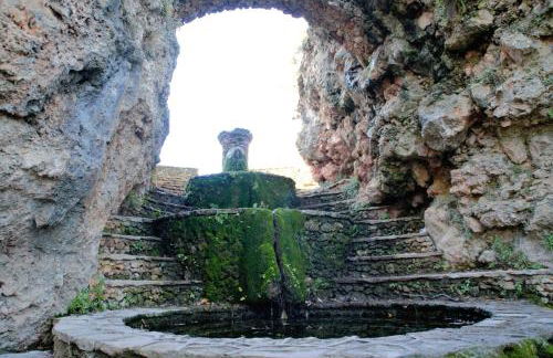 Casas Rurales el Olmo - Foto 26