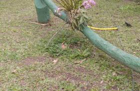Chácara em Guararema Brasil - Foto 35