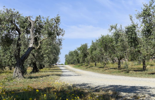 Agriturismo il Laghetto - Foto 36
