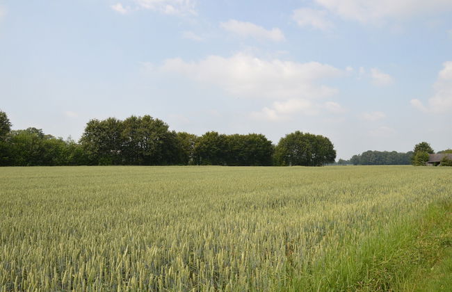 Romantic Farmhouse Escape - Photo 18