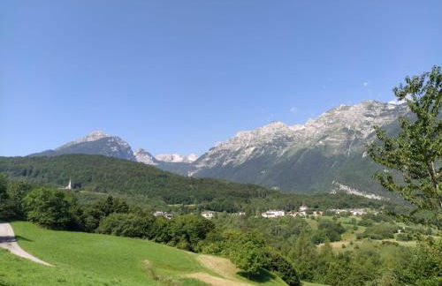 Appartamenti Il Cerbiatto - Photo 42