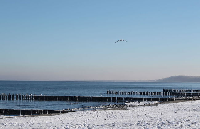 Coastal Stay, Kuhlungsborn - Foto 17