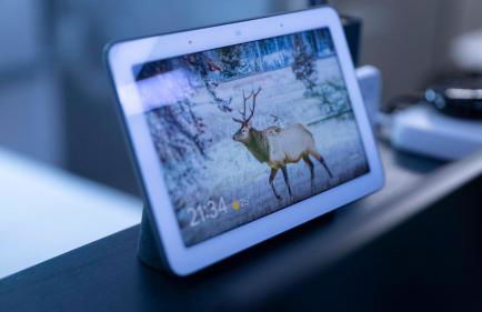 Iron House - Penthouse with Bathtub in Golden Mile & Roman Bridge - Foto 68