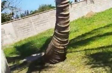 Pé Na Areia - Photo 7