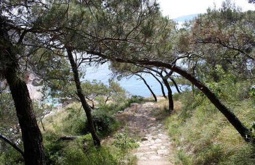 Romantisches Steinhaus Flora in Filipasi - Foto 8