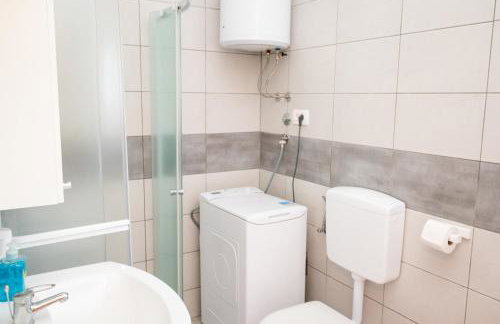 Dalmatian - Photo 25