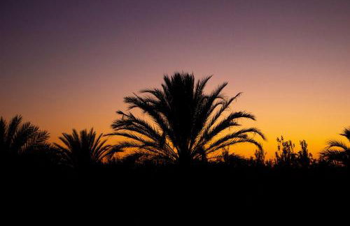 Sapphire Studio - Sea & Nature - Photo 36