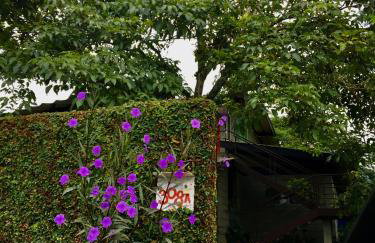 Casa da árvore - Foto 13