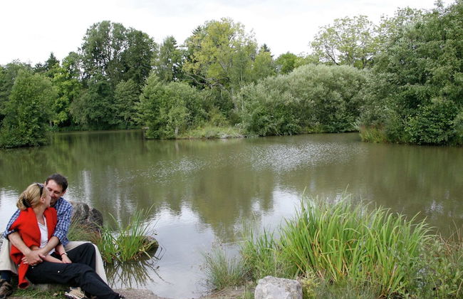 Spacious Apartment Near Forest in Bad Durrheim - Foto 79