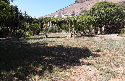 The house in the port - Foto 15