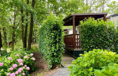 Tenuta Montebello - Foto 7