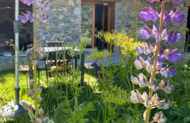 LE LODGE, Pyrénées 2000 - Jardin, très calme, espace rangement - Foto 1