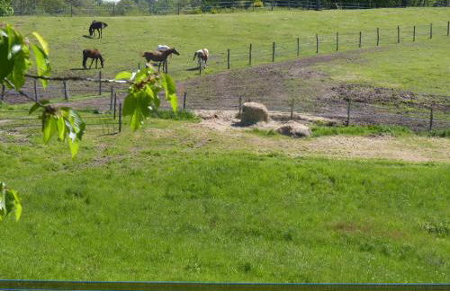 Maison de famille chaleureuse - Foto 30