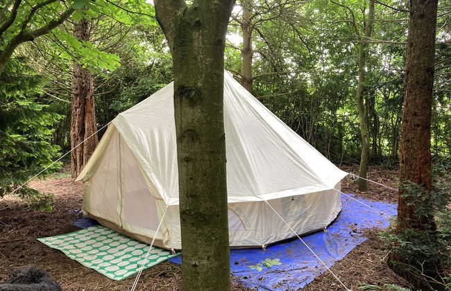 Woodlands Basic Bell Tent 2 - Foto 26
