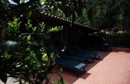 Quinta da Mal-disposta, cabin lodge Countryhouse - Foto 24