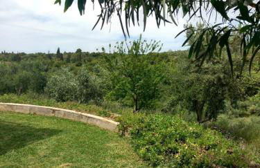 4T apartments - Foto 51