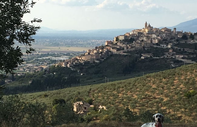 Setter House Agri Hotel - Foto 55