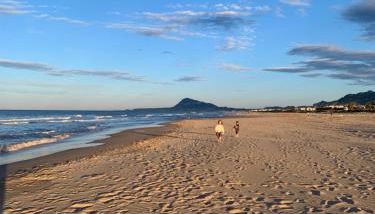 Oliva Beach & Paradise - Photo 3