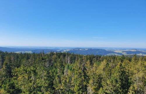 Gästehaus Aurelia - Foto 46