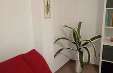 APARTAMENTO BEDIESTA - Foto 6