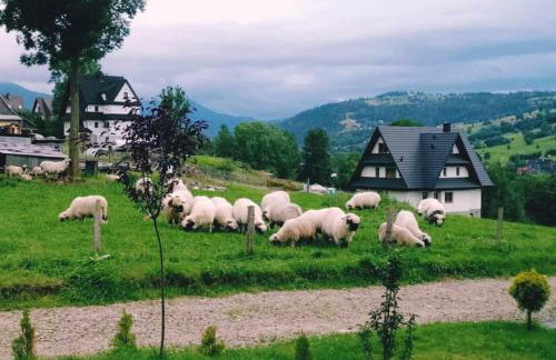 Domki Na Brzyzku - Foto 41