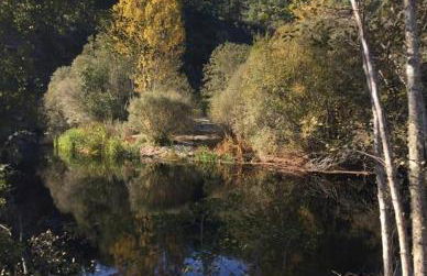 Casa do Outro Mundo - Foto 60