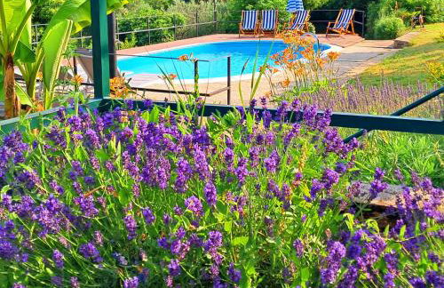 Kuca Kata - Property Nono - Foto 58