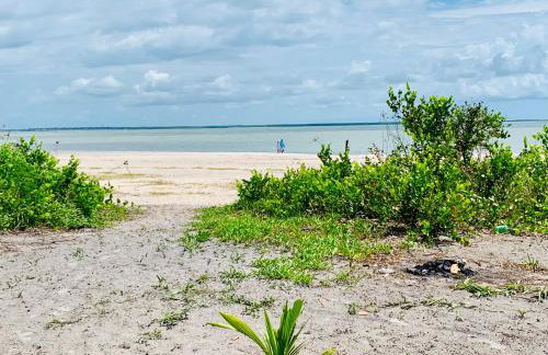 FM Algodoal - Foto 18