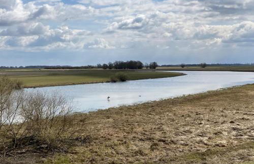 Elbblick Schnackenburg - Foto 25