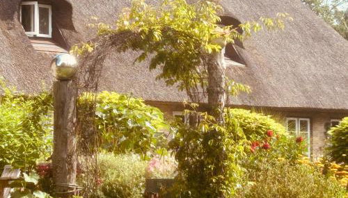 Bernstorfshof - Foto 4, Garden