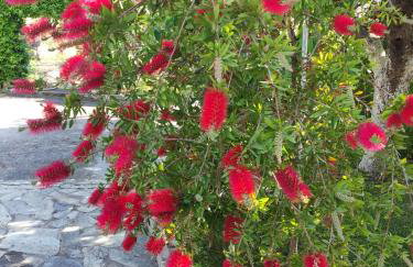 Katerina's Countryside and Sea House - Foto 10