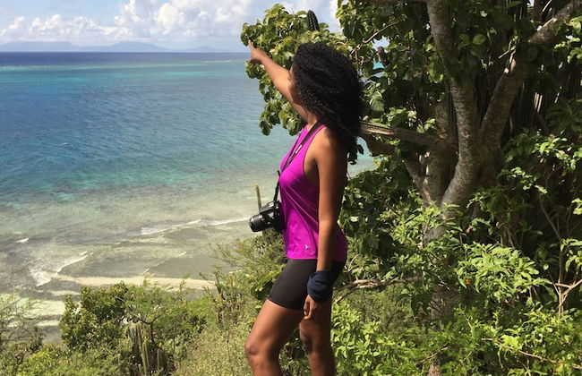 South Coast Horizons - Photo 66