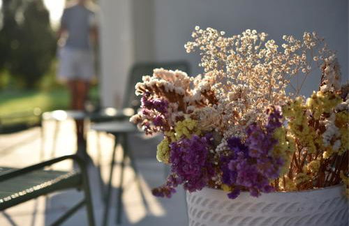 Domus Natura - Photo 49