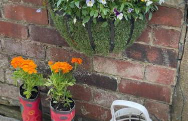 Cute and cosy 2 bed cottage - Foto 32