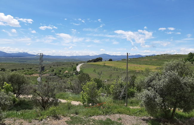 Casa Rural Garnacha de Borja has a Barbacue and Terrace - Foto 57