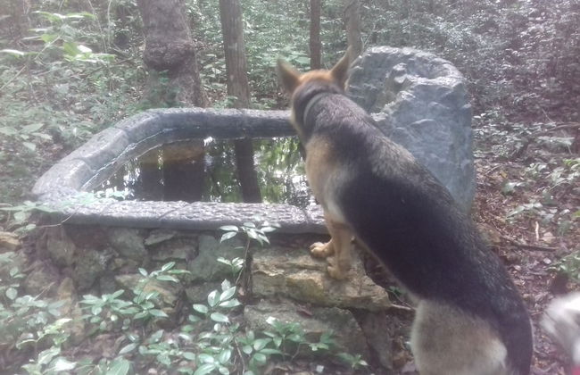 Hotel y Temazcal en Solferino - Foto 52