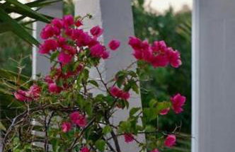 Cathrin Suites - Foto 23