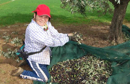 Agriturismo Torre Cristina - Foto 51