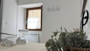 Guest House Teresina - Foto 4