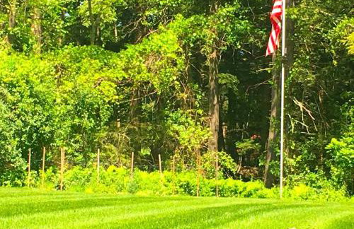 Cozy Log Cabin with a Private Hot Tub near Beartown State Forest, Massachusetts - Foto 18