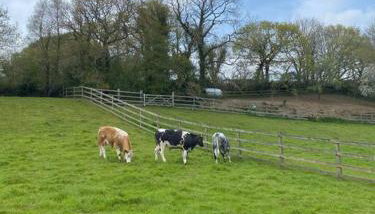 Coach House St Wenn - Photo 2