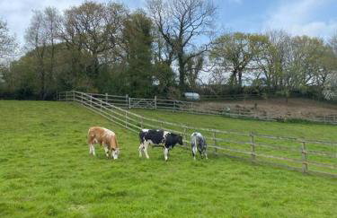 Coach House St Wenn - Foto 2