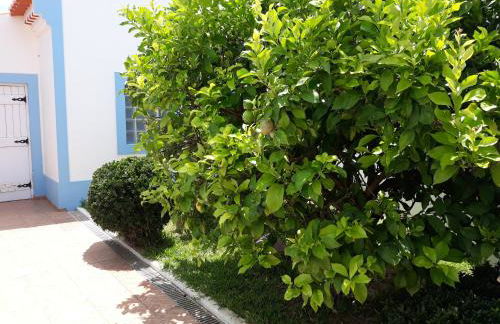 Refugio de São Luis - Foto 17