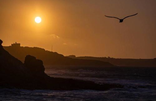 Number 27, Swanpool - Foto 21