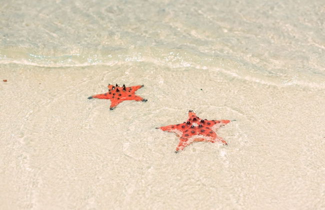 Cataleya Beach Boutique - Foto 75