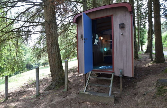 Chalet & Gypsy Caravan in Green & Peaceful Environment near Houffalize - Foto 23